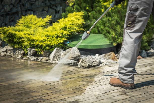 Best Pool Deck Cleaning  in Placerville, CA