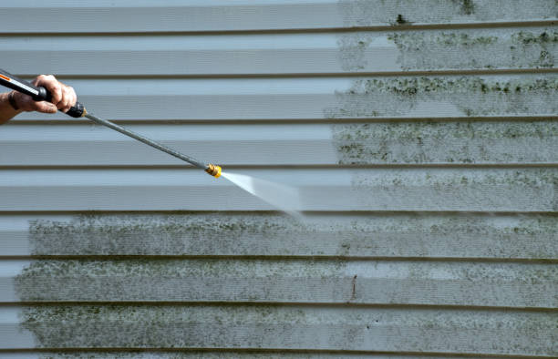 Best House Exterior Washing  in Placerville, CA